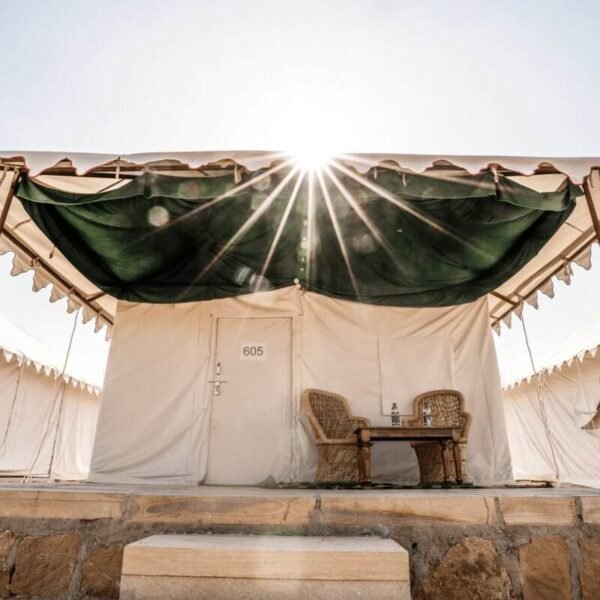 Desert Camping with Camel Safari